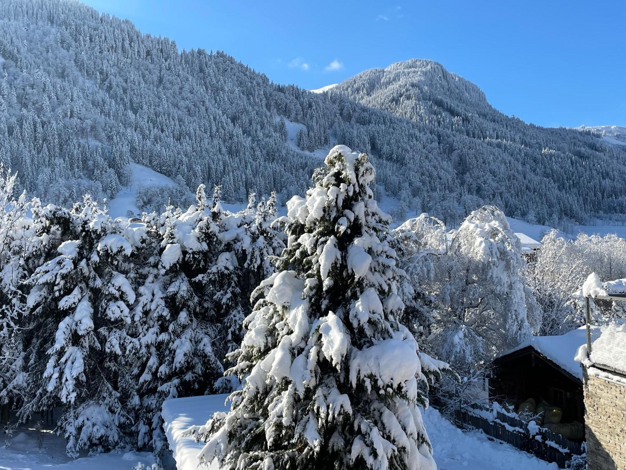Bacherwiese Penthouse By Alpine Host Helpers Kitzbuhel Bagian luar foto